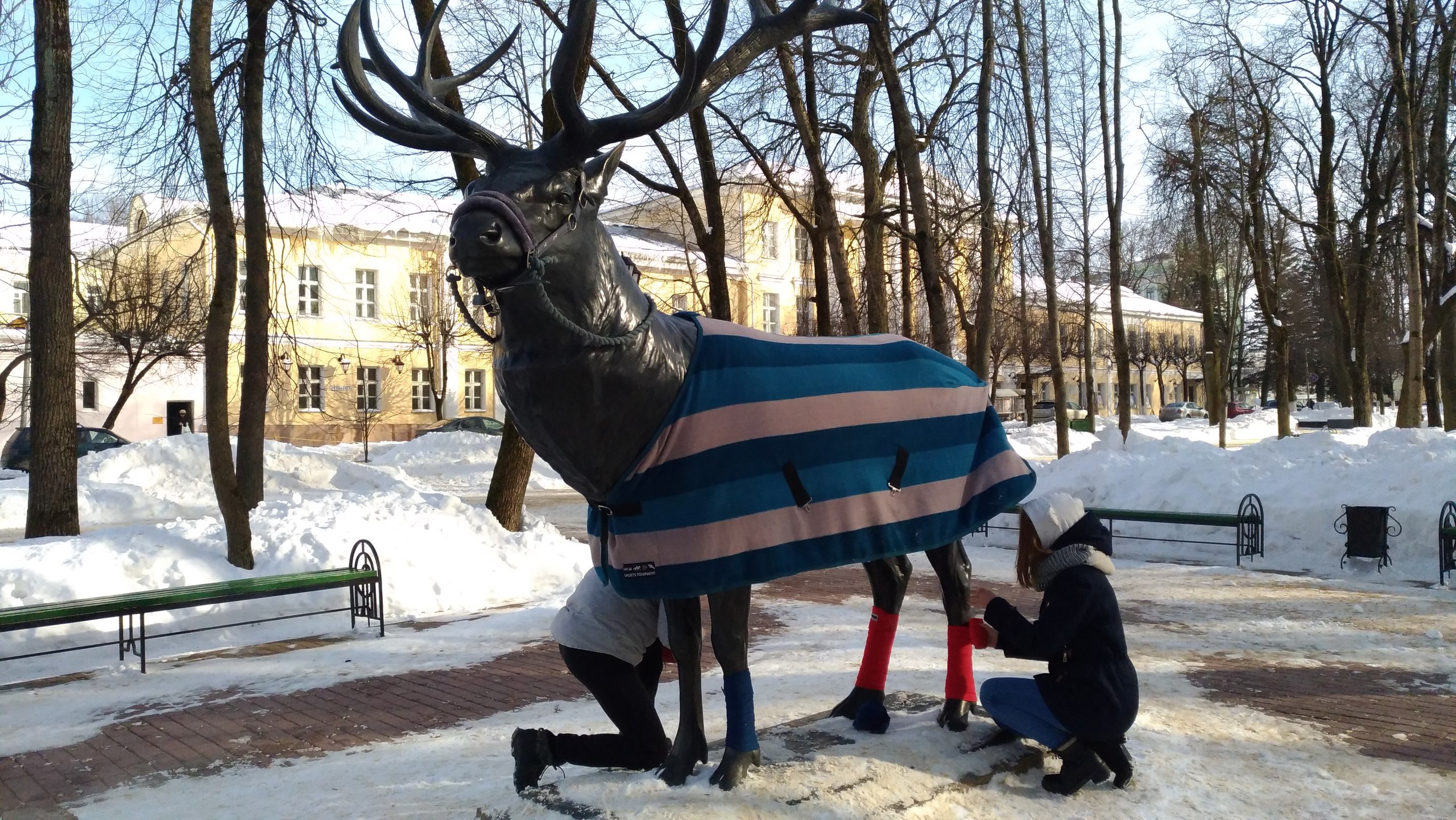 смоленск парк блонье