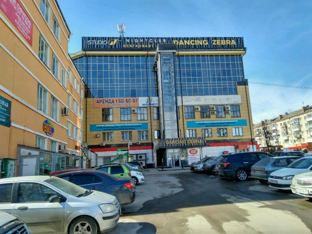 зебра