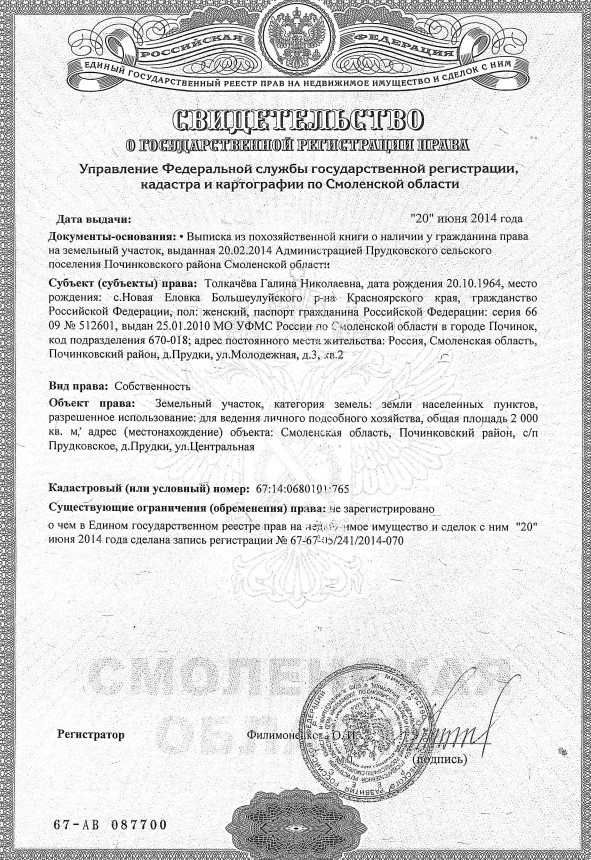 свидетельство-640x905
