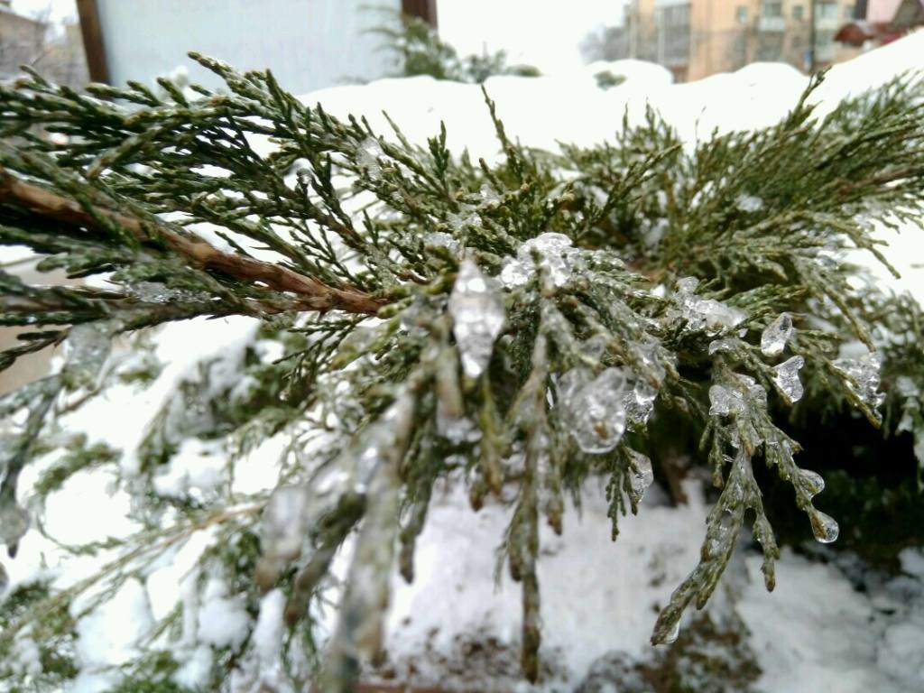 На Смоленск обрушился ледяной дождь. Пешеходы крадутся