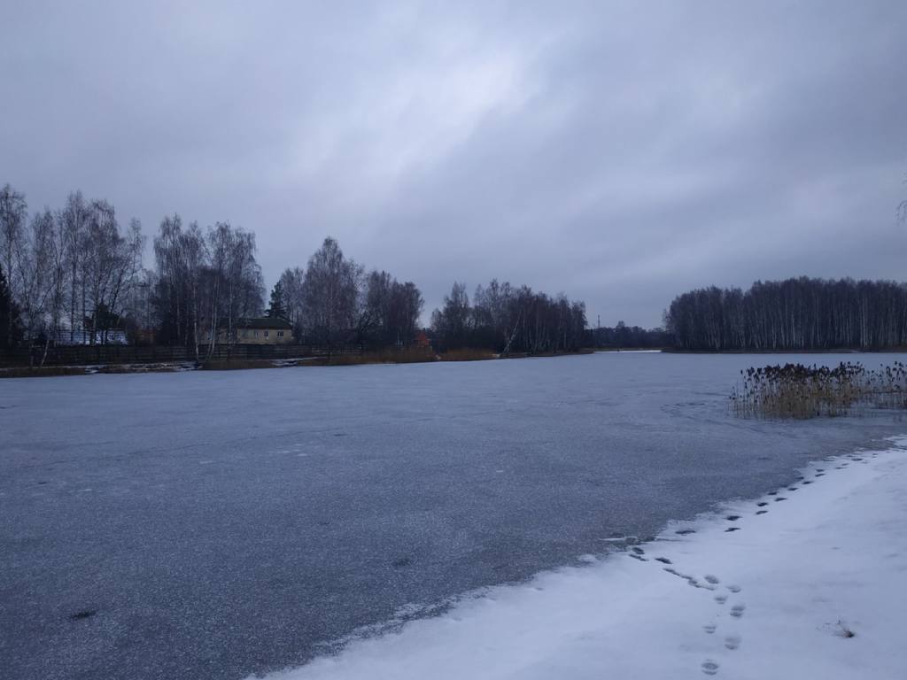 В Смоленске на озере Ключевое высадят сосны