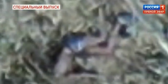 Кадр с телом Влада Бахова с квадрокоптера показали на канале Россия-1