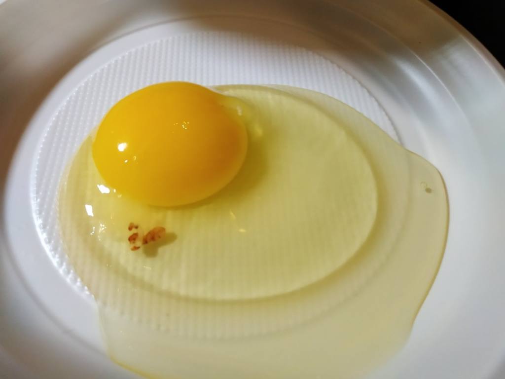 Можно ли кушать яйцо с зародышем
