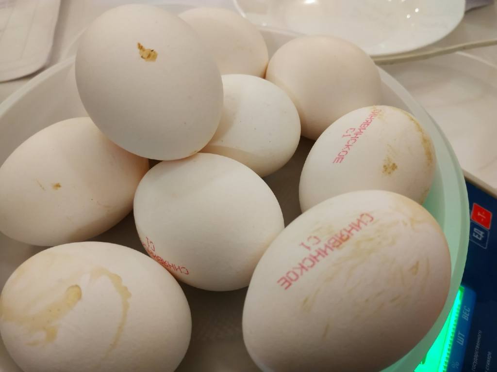 Можно ли кушать яйцо с зародышем