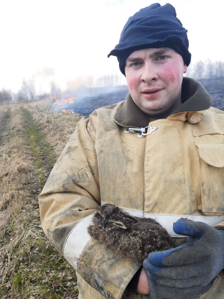 В Смоленском районе пожарные спасли зайчонка при тушении травы