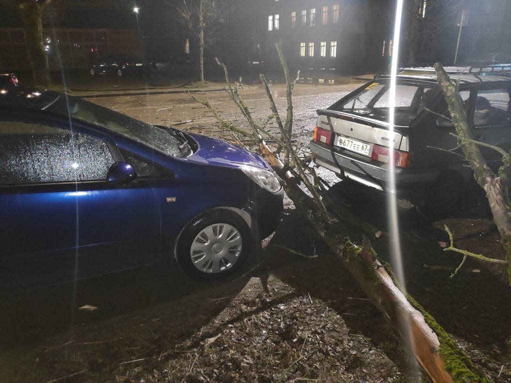 В Смоленске деревья рухнули на машины