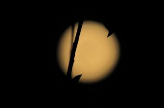 коронавирусом отключение освещения