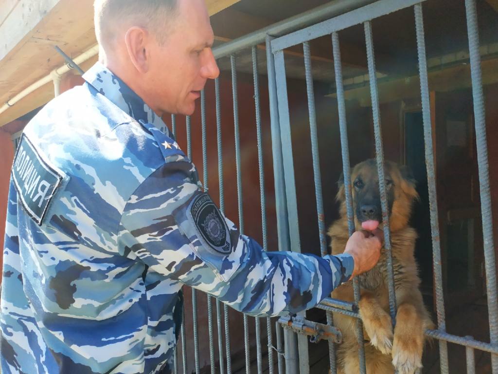 За каждым шоу новые шрамы. Собачья жизнь смоленских полицейских