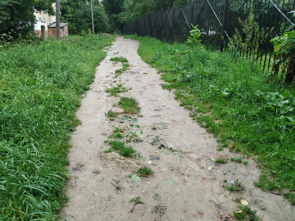 В Смоленске выявили недостатки дорожной инфраструктуры у трех школ