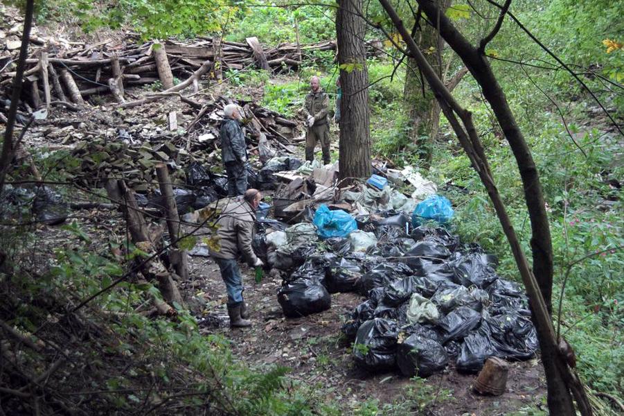 Как Рачевский овраг в Смоленске очищают от тонн мусора и превращают в уникальный экопарк