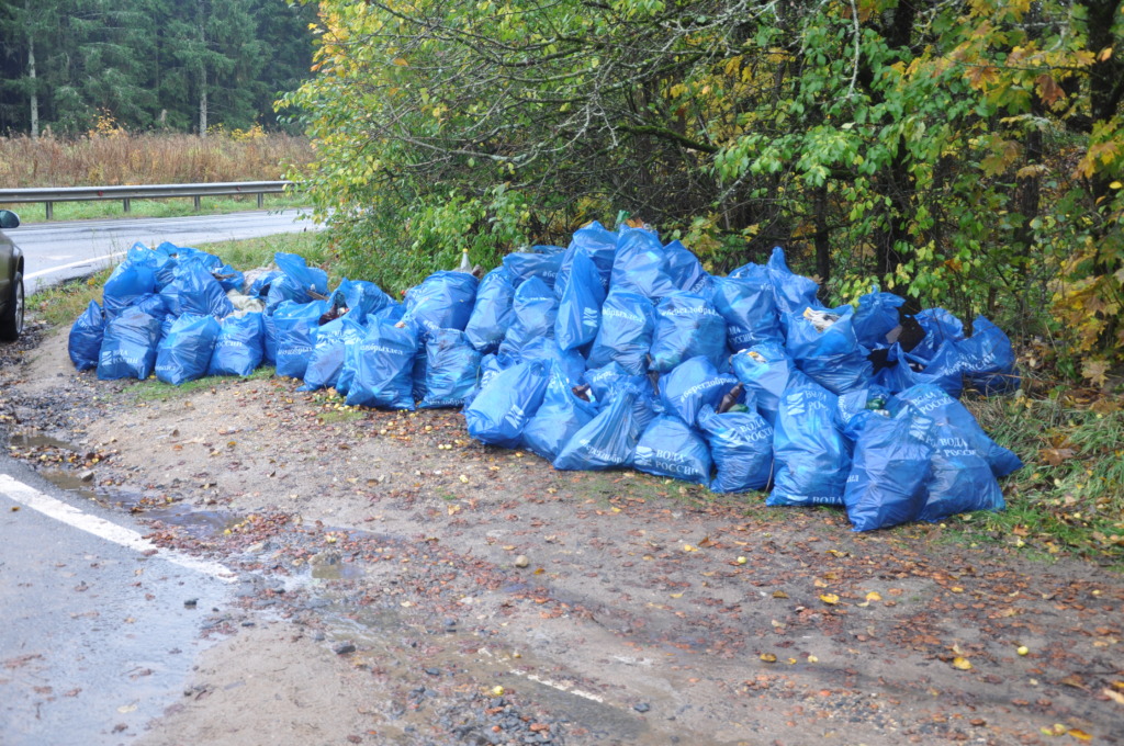 Волонтеры Смоленского отделения Сбера очистили берег реки от мусора