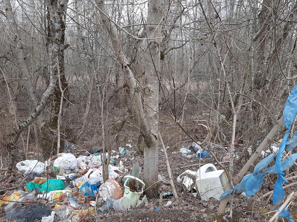 Поселок Одинцово в Смоленске зарастает мусором. Кроме местных жителей до этого никому нет дела