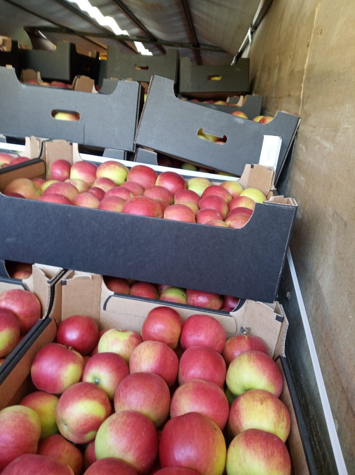 В Рославльском районе таможенники задержали 40 тонн томатов и яблок