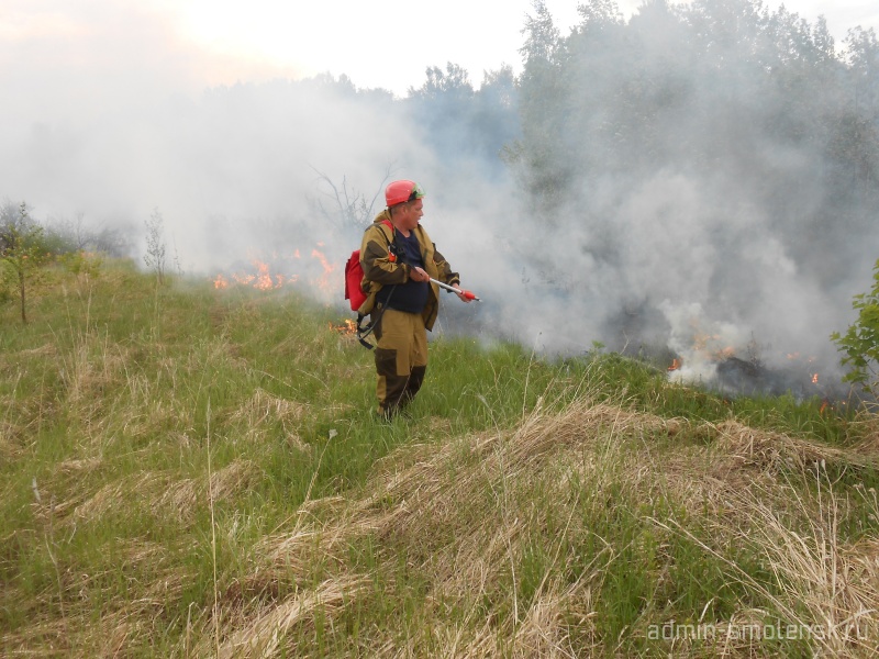 В Смоленской области не зафиксировано ни одного лесного пожара
