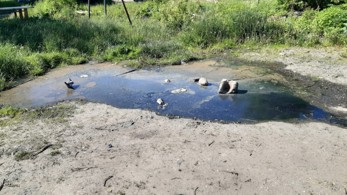 «Жуткая вонь». Два месяца из земли бьют ключи канализации в Смоленске