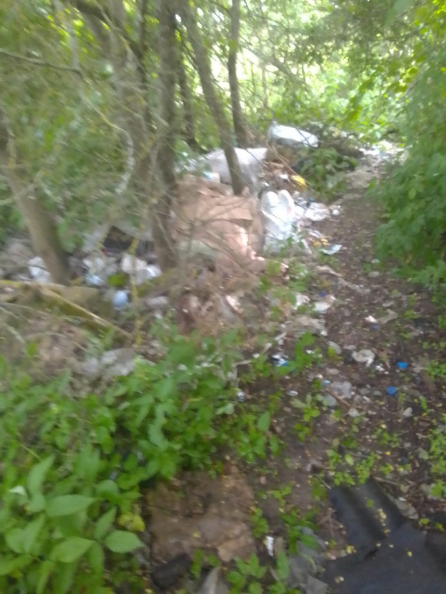 В Монастырщинском районе ликвидируют несанкционированную свалку мусора