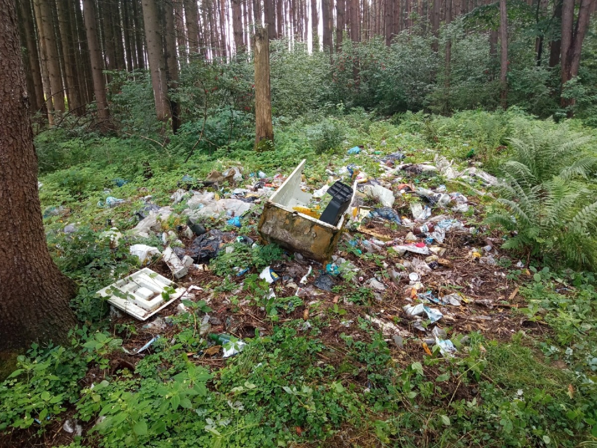 Активисты в Смоленске вывезли из леса в Колодне тонны мусора