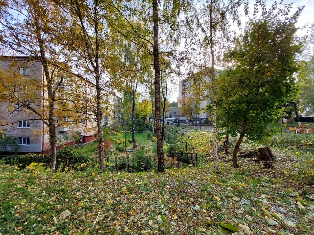 После жалобы Путину и в Smolnarod во дворе по ул.Козлова спилили аварийные деревья