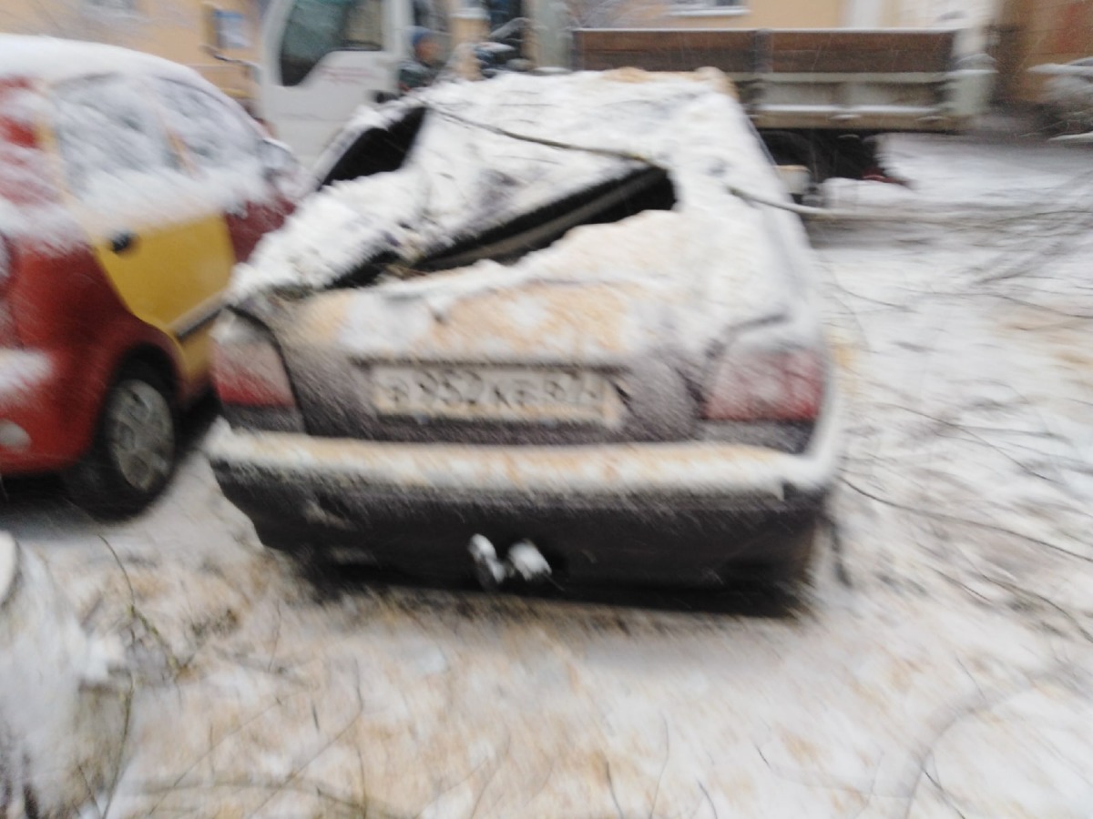 В Смоленске упавшее дерево повредило три автомобиля