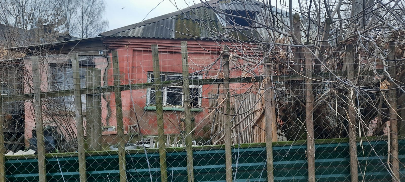 В Смоленске в домашнем приюте для собак обрушилась крыша. Женщина успела спастись