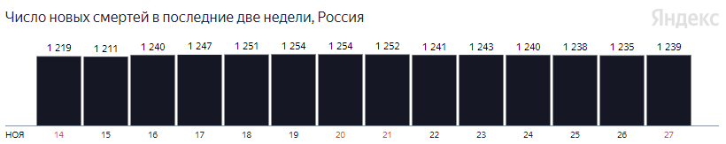 В России на утро 27 ноября выявили почти 34 тысячи случаев COVID-19 и 1239 смертей в результате него