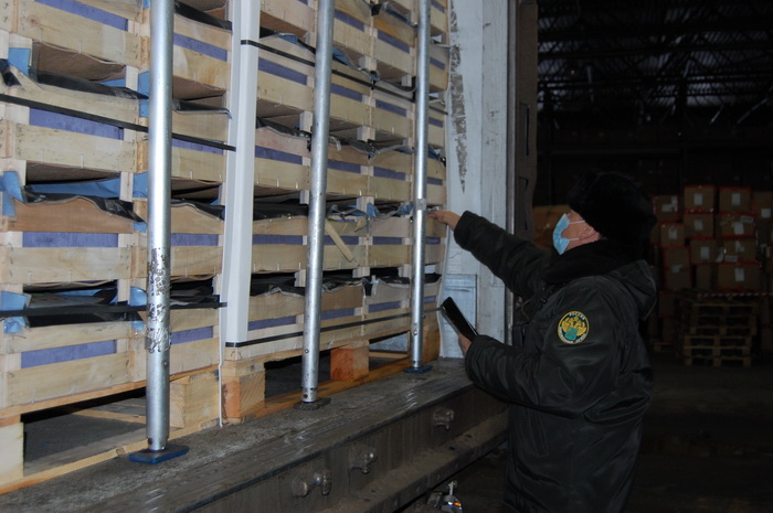 В Смоленской области задержали четыре грузовика с «санкционными» грушами