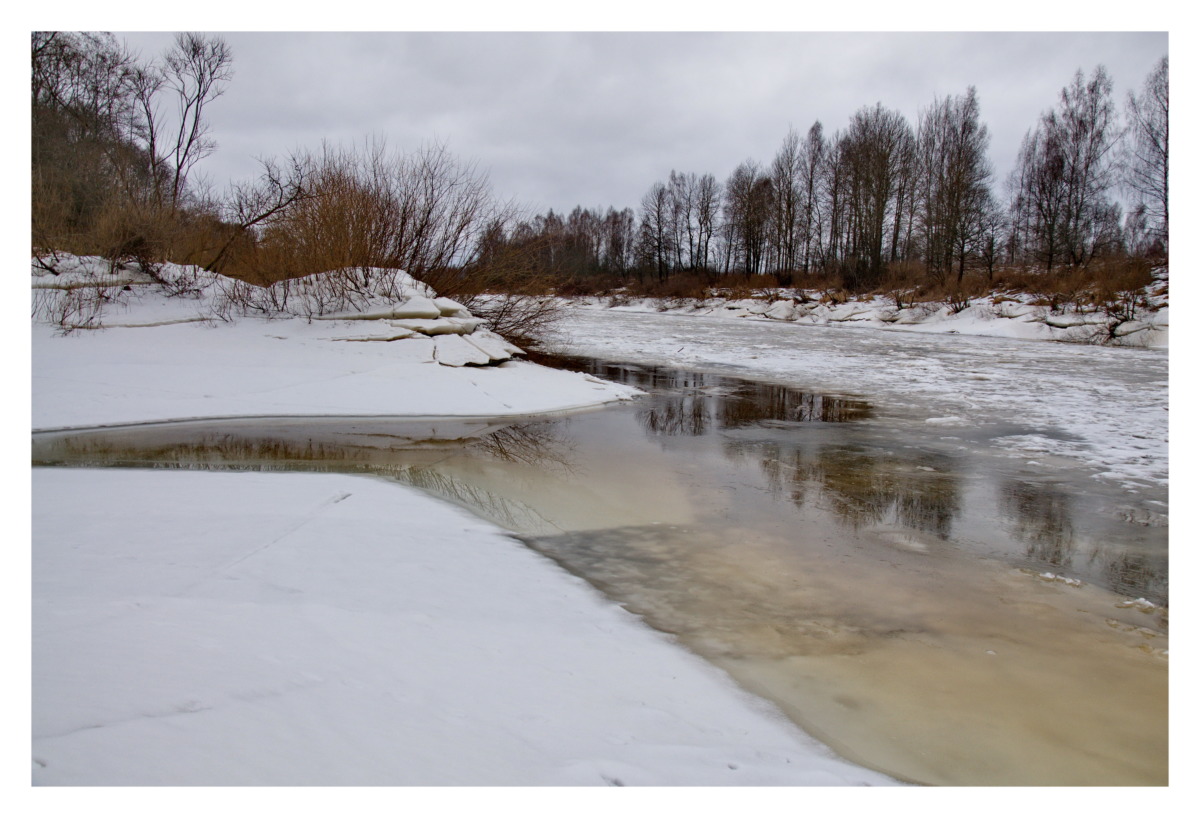 Мёртвая река. Стал известен самый грязный водоём Смоленской области