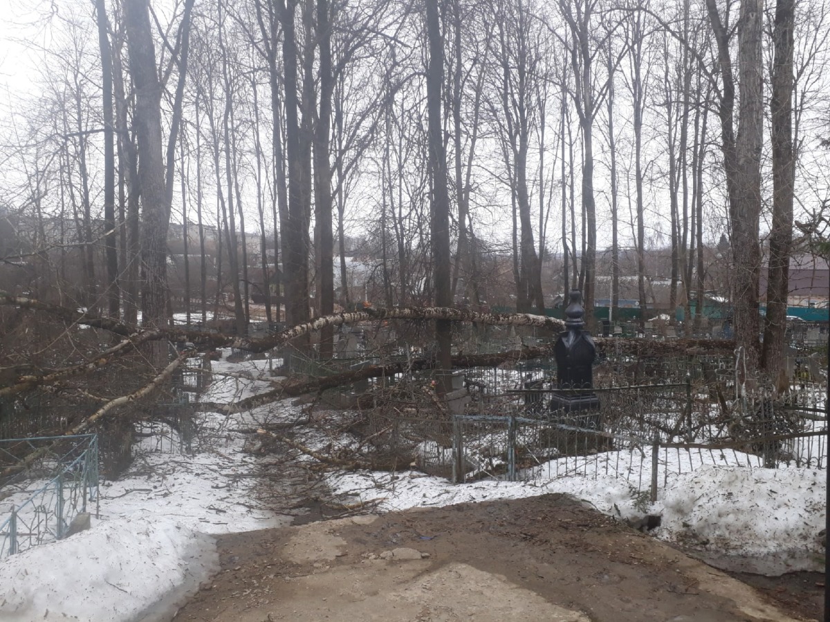 Упавшее на рославльском кладбище дерево повредило ограды и памятники