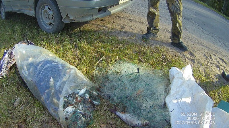 В Смоленской области осудили браконьера, убившего беременную самку кабана