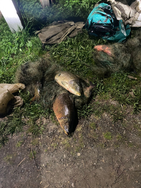 В Смоленской области поймали рыбака-браконьера