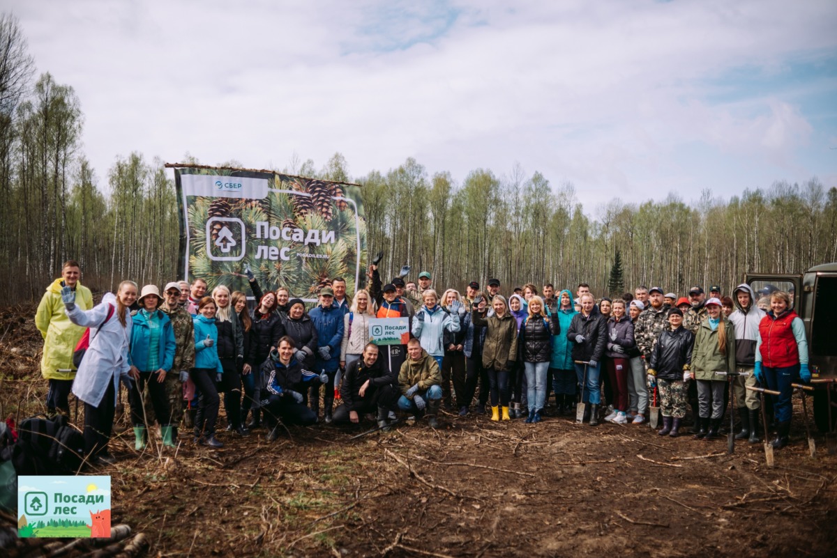 В Смоленской области высадили новый лес