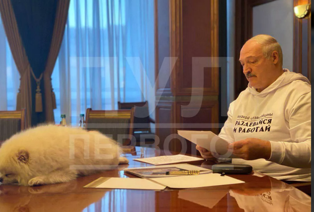Собака Лукашенко сидела на столе с белорусами и президентом