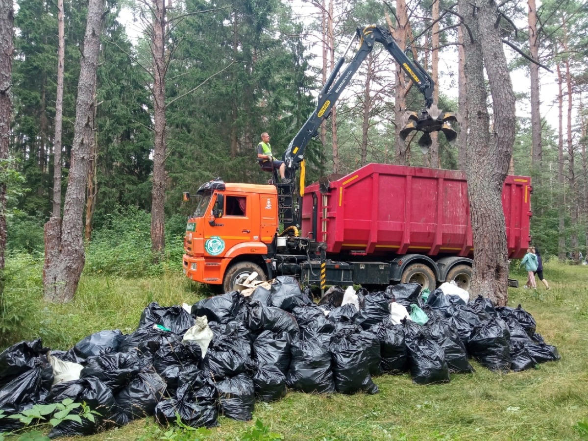 Смоляне оставили в лесу 187 мешков мусора