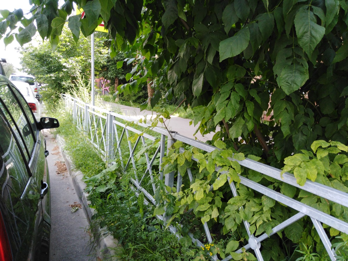 Смоляне возмущены новым забором на улице Нахимова. Но это ещё цветочки