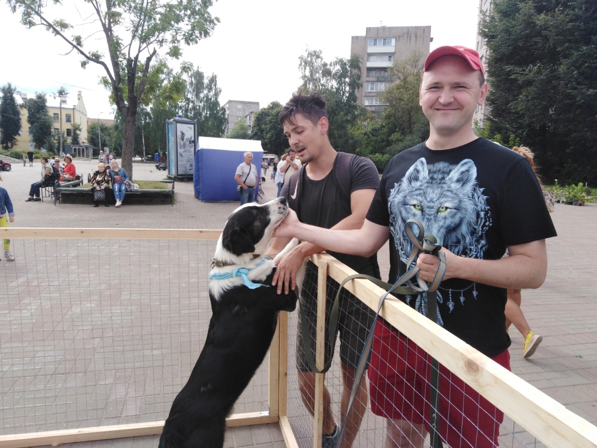 Возьми друга домой: выставка-раздача домашних животных состоялась в Смоленске