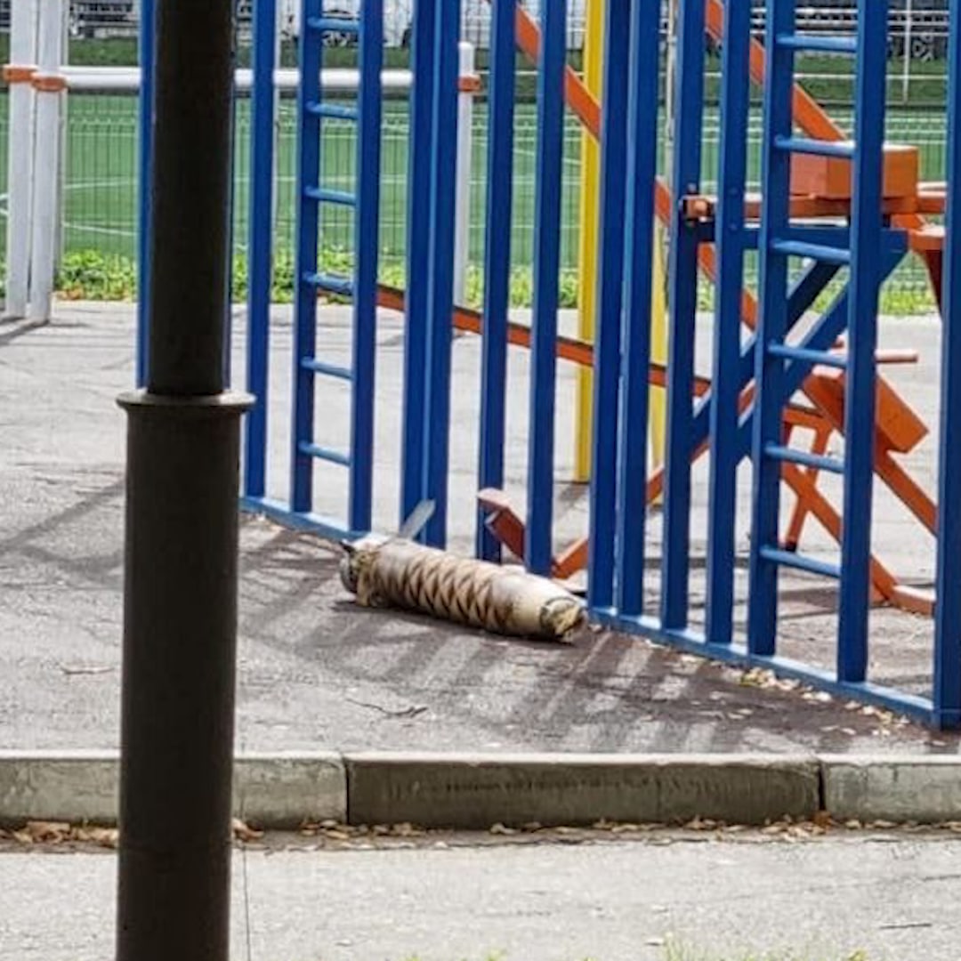 Мощный обстрел ВСУ: жители Белгорода публикуют фото части снаряда на детской площадке