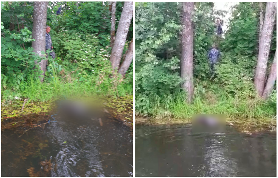 Чем дальше в лес: подробности сомнительного расследования убийства в Смоленской области