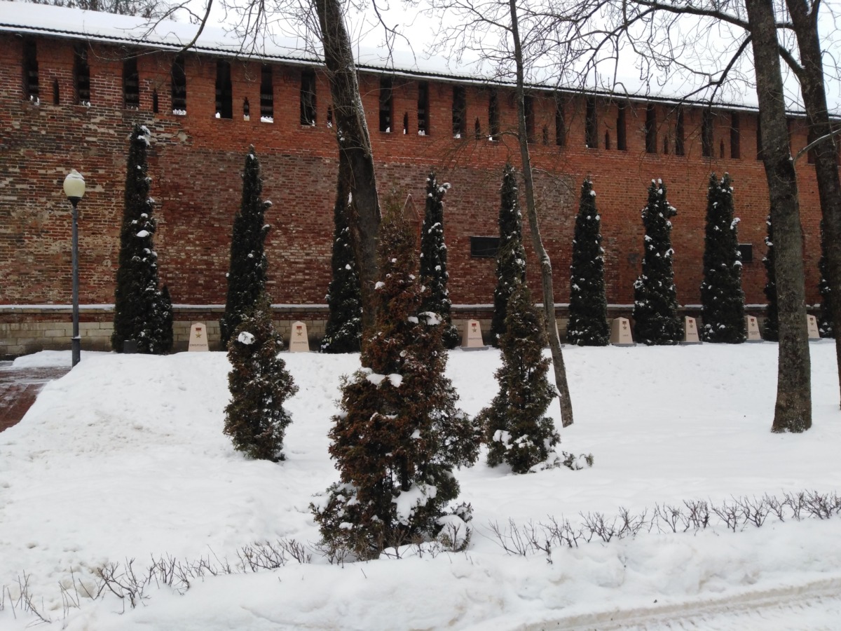 Семь раз отрежь: зачем хотят спиливать деревья в центре Смоленска