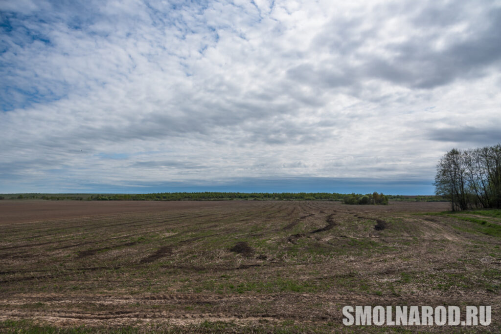 Фермеры Руднянского района раскрывают секреты успеха