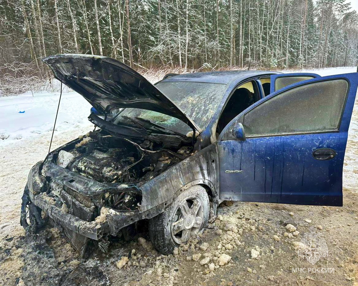 В Смоленской области 