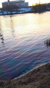 В смоленской «Квадре» прокомментировали «экологическое бедствие» на озере ТЭЦ-2