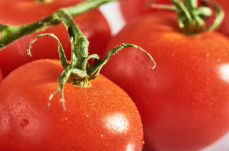 томаты, помидоры, овощи
