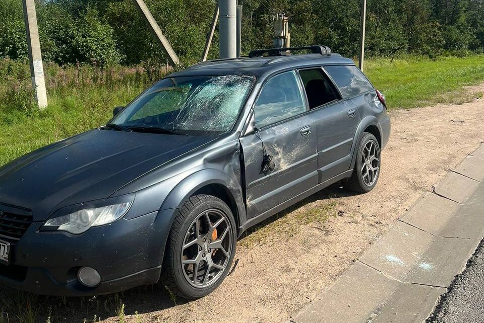 Водитель иномарки наехал на лося в Смоленской области