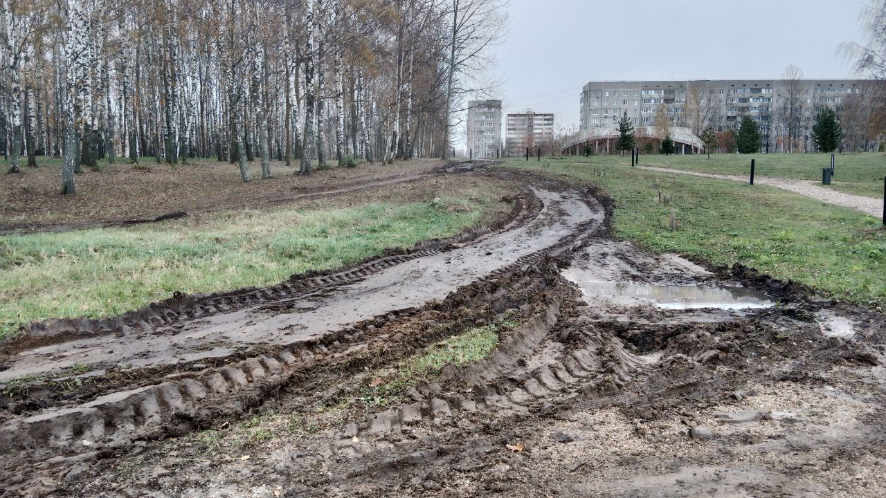 травяной покров Атомпарк