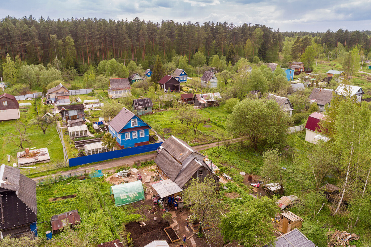 дача, дом, поселок, природа, огород