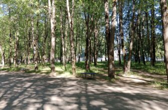 благоустройство парка