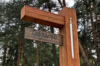 Гнездово, находки, археологи, топография