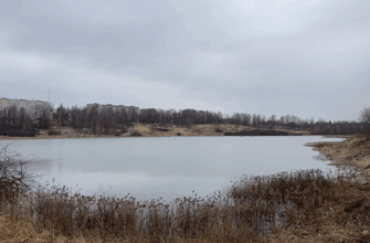 в конкурсе