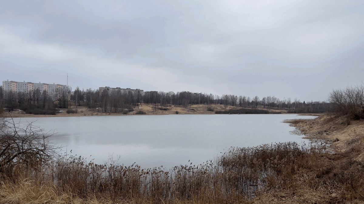 в конкурсе