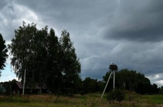 Аист, тучи, гроза, гром